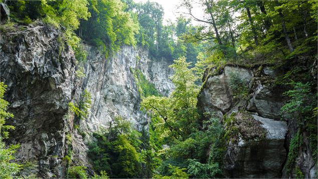 L'environnement naturel de la passerelle