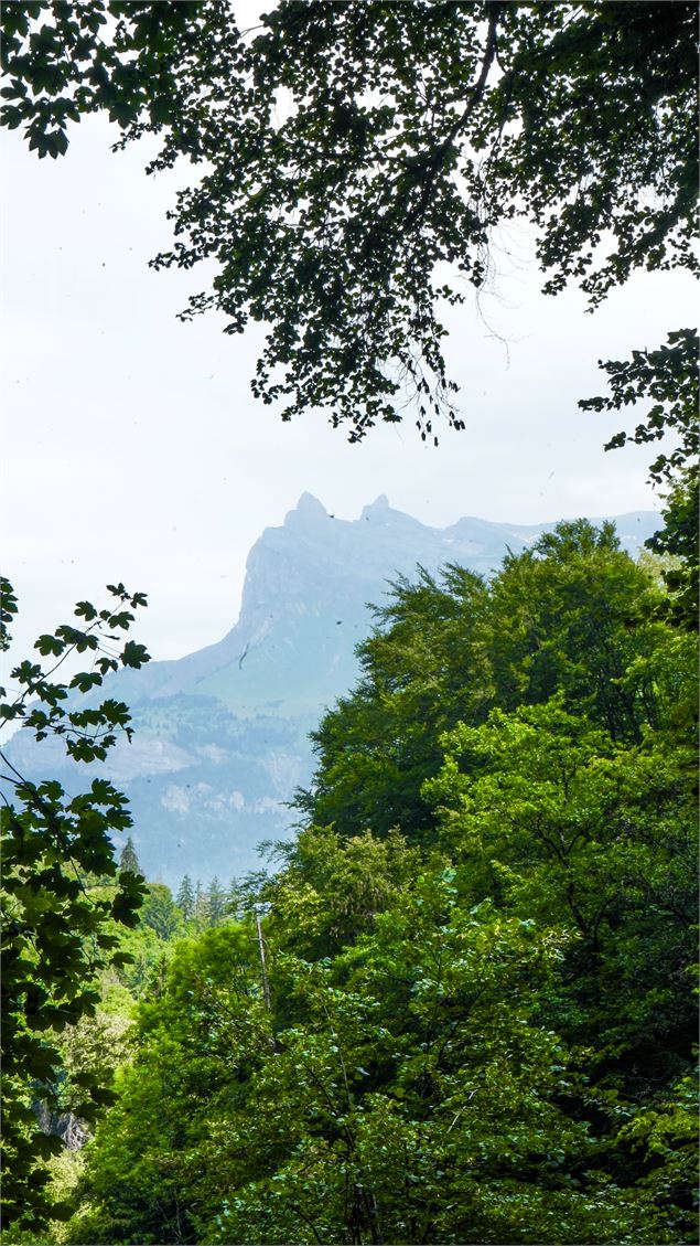 Les montagnes vues de la passerelle