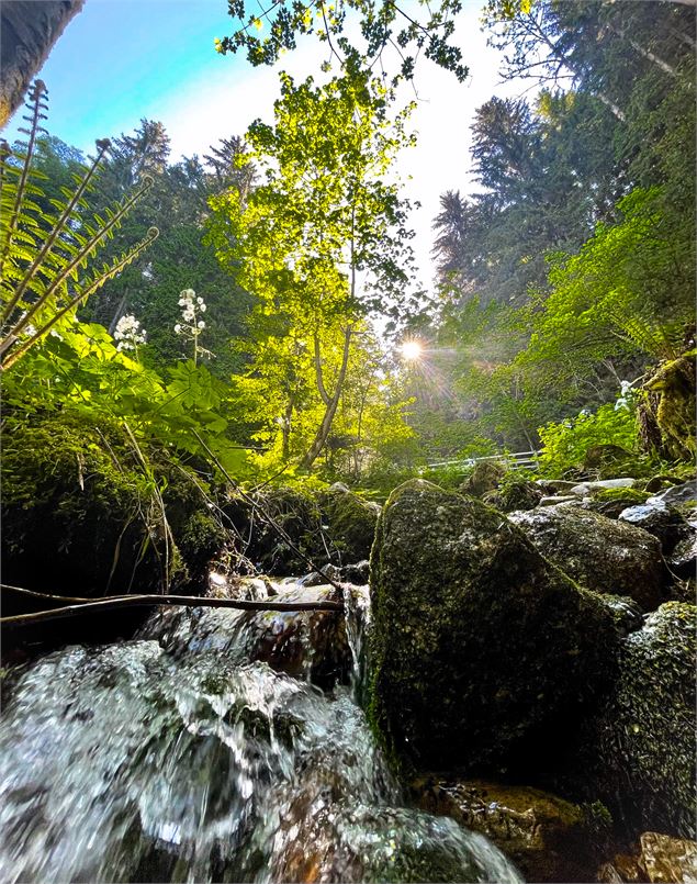 Boucle Cheminée des fées en passant par le Berchat