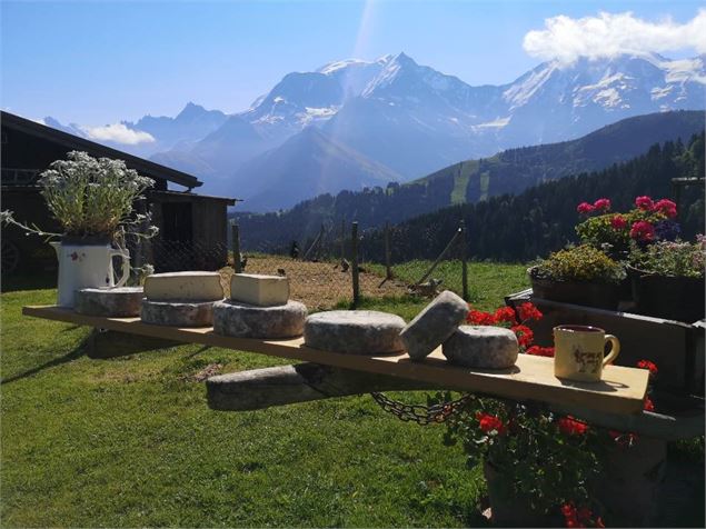 Alpage la Grand Montaz - Alpage la Grand Montaz