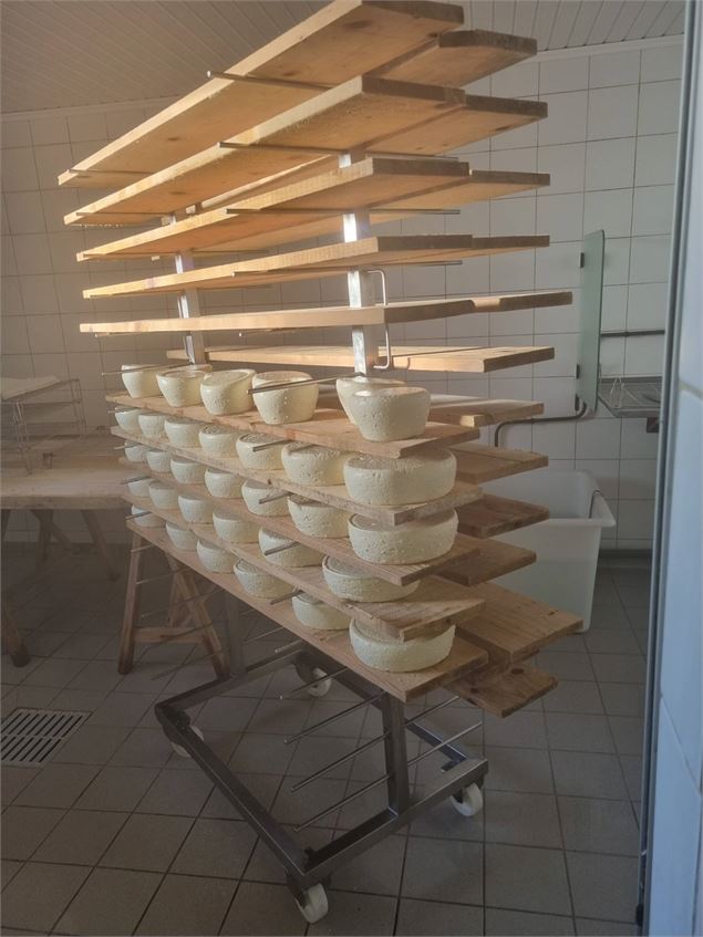 Alpage la Grand Montaz - Alpage la Grand Montaz