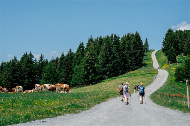 Le Mont Joly au départ du Mont d'Arbois - Fabian Bodet