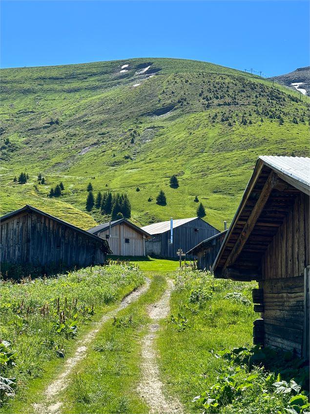 Les chalets d'Hermance au départ du Mont d'Arbois