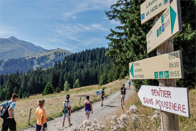 Le Mont d'Arbois au départ du Bettex - Boris Moliner