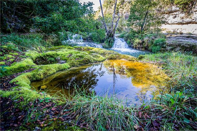Rivière et lac du Val d'Oignin - Mélanie Poirson