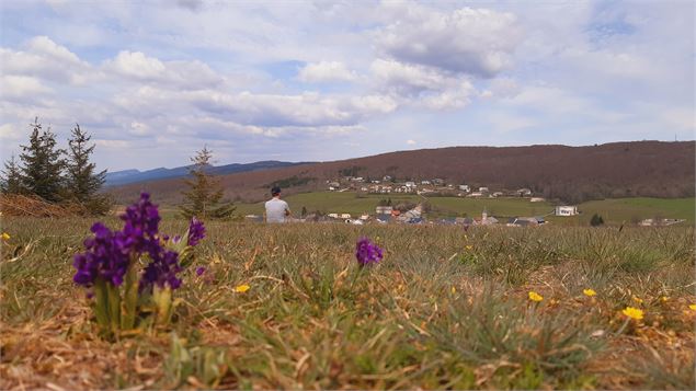 Détente champêtre au dessus d'Aranc - V. Allard