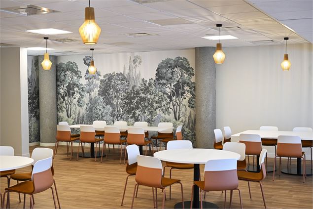  - © Laurent Cheviet