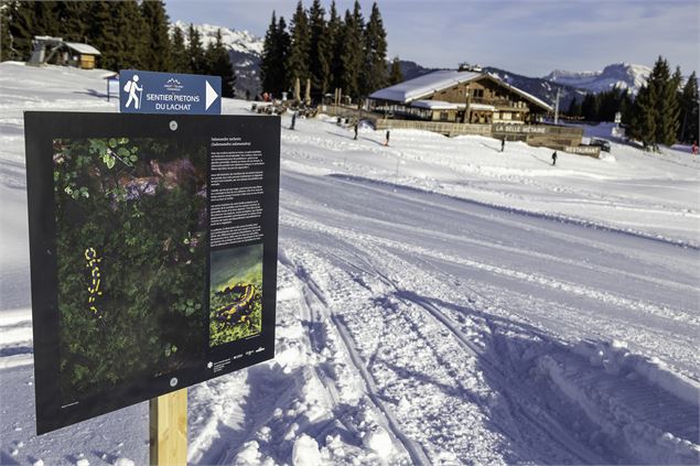 Expo photo au sommet du Lachat sur sentier piétons - Yannick Lenoir et Nicolas Gilormini pour la RNR