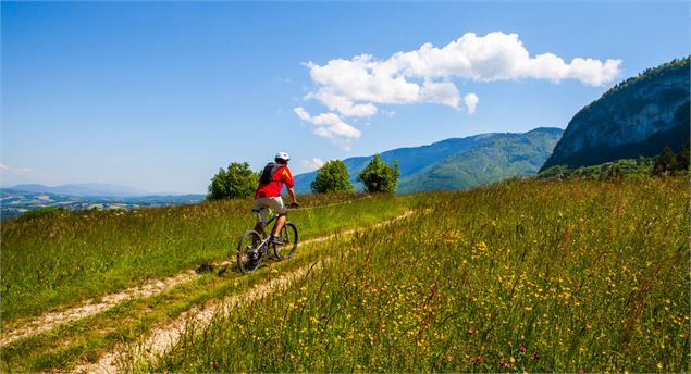 Sortie VTT sur le circuit de La Cuséenne - PNR du Massif des Bauges