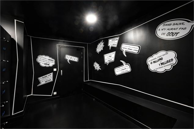 Sensas_Epagny Metz-Tessy - Thierry Genand