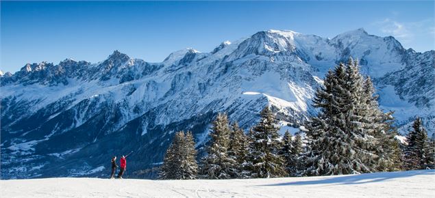 Panorama depuis le domaine des Houches - OTVCMB