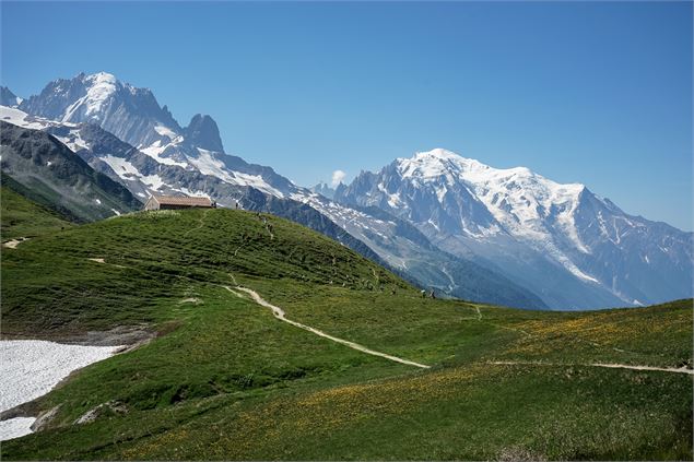 Vue depuis Balme été - OT Vallée de Chamonix Mont Blanc