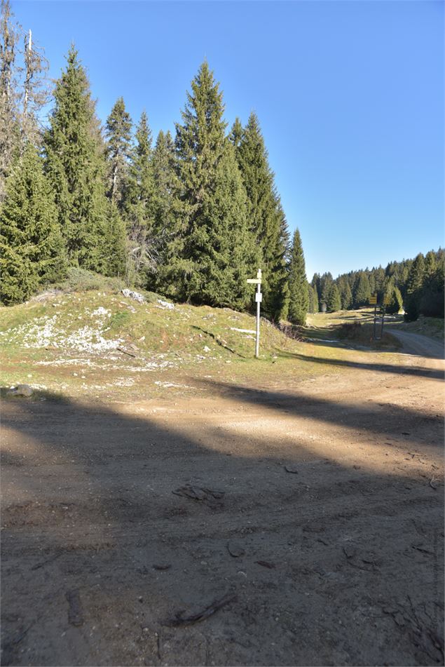 Teppe de Lachat - suivre à gauche - école de VTT La Féclaz - Massif des Bauges
