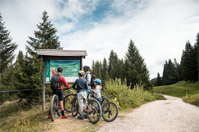 Piste VTT FFC verte 1 - La Féclaz - Peignée Verticale - Grand Chambéry Alpes Tourisme