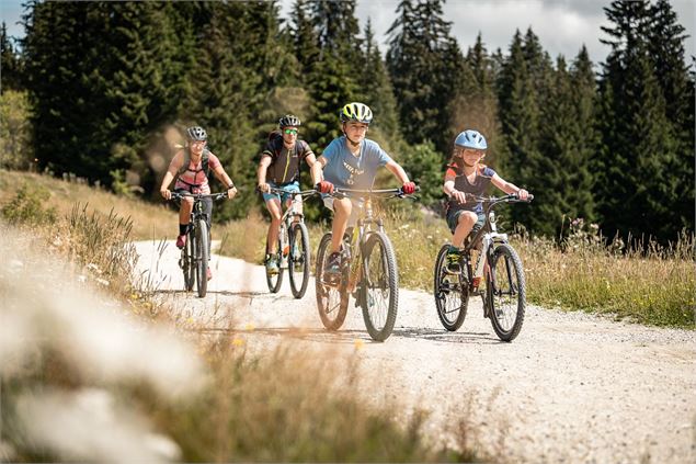 Piste rouge VTC L'Hansen_Le Revard - Peignée Verticale - Grand Chambéry Alpes Tourisme