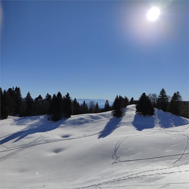 balcons du lac - L.MARTIN