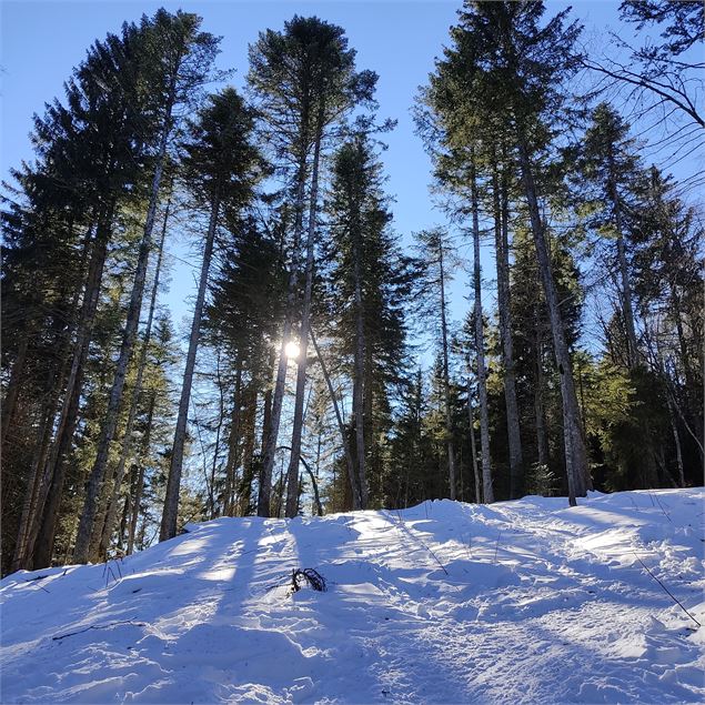 crêtes de l'orionde - L.MARTIN