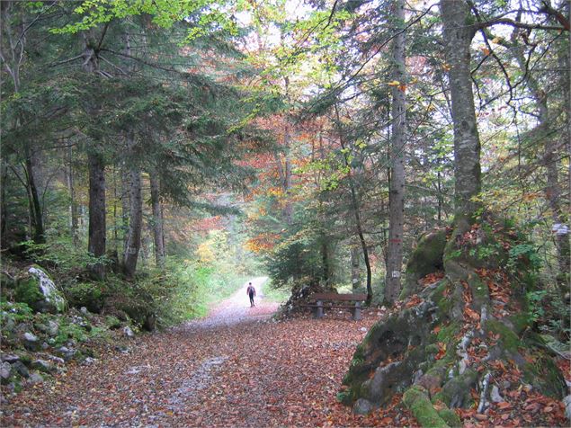 Le Vallon de Bellevaux - K.Mandray