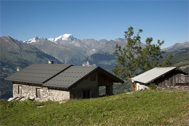 Le Chanton - Philippe Gal