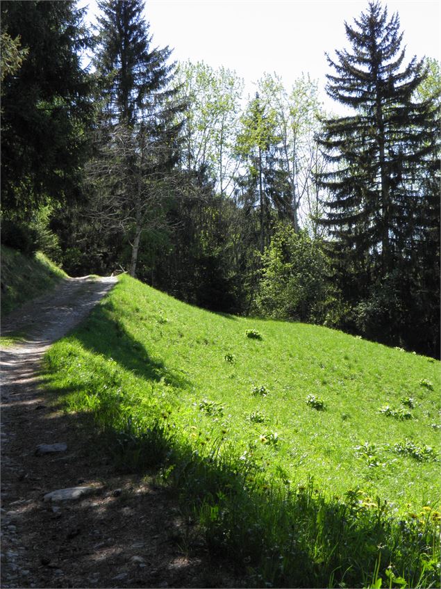 Panneau indicateur - OTMLP