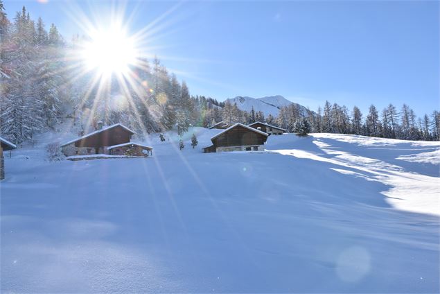 Plateau de Plan Bois - Amandine Elie