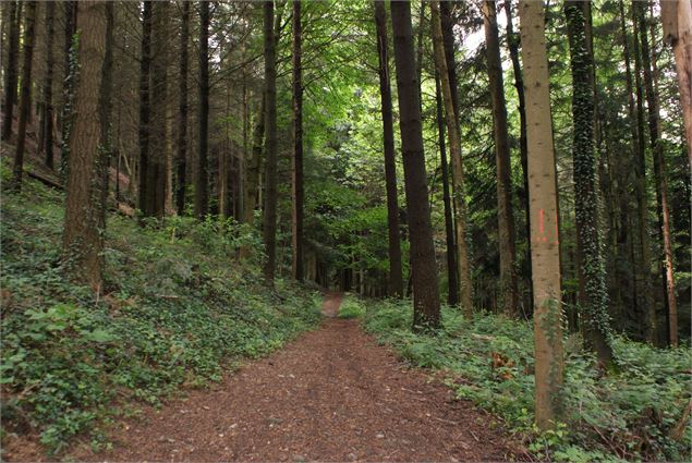 Boucle des marais - Ville de La Motte-Servolex