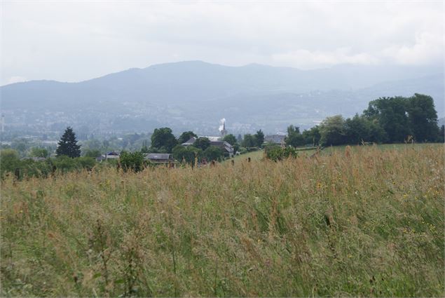 Boucle des marais - Ville de La Motte-Servolex