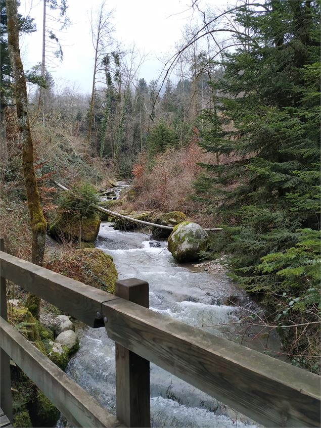 Saint Sulpice depuis le Forezan - p.guellegermain