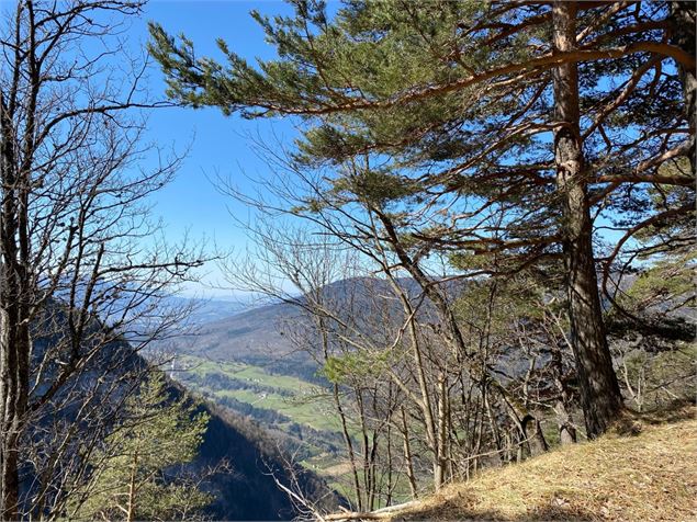 Vue vers St Thibaud de Couz - Benjamin Pancuk