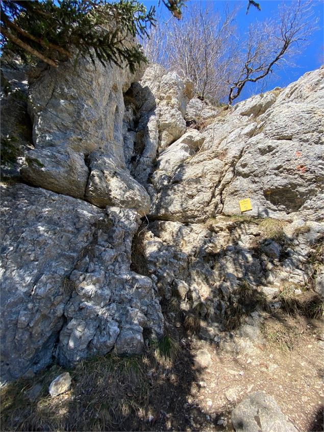 Passage câblé accès belvédère Corbeley - Benjamin Pancuk