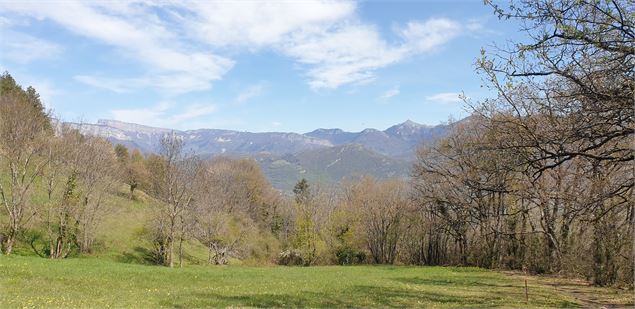 vue degagée - pauline guelle-germain