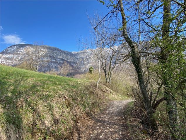 Chemin de l'Essarts - Benjamin Panczuk