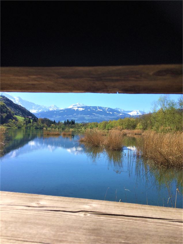Lac de planche à voile des Ilettes - Atelier du Cyclope - David Vuillermoz (2)