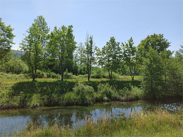 Le sentier est plat et facile - K.Tranchina