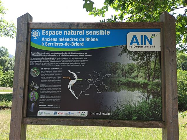 Espace naturel sensible de l'Ain - K.Tranchina