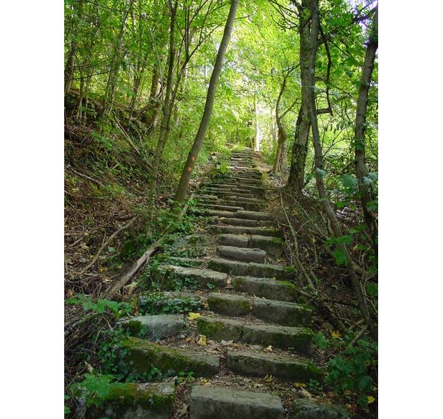 Le Pas de l'Echelle - Alexis BROCHOT - CD74