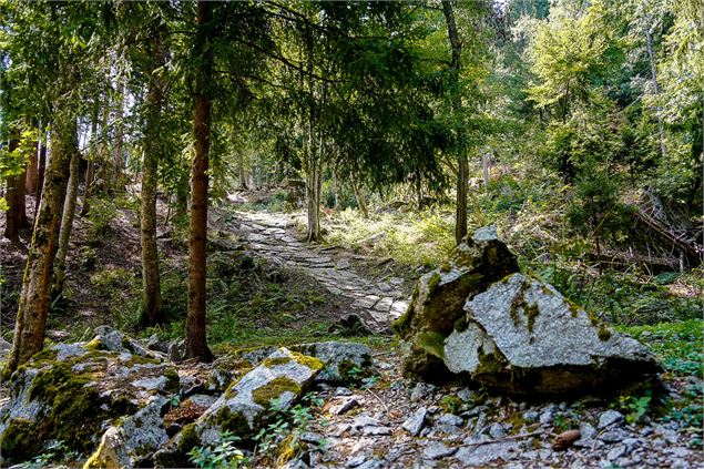 chemin en granit dans la forêt - OT Combloux PaulBesson