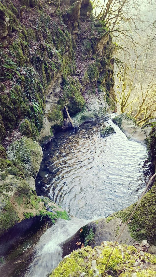 cuve du Buizin - Marilou Perino