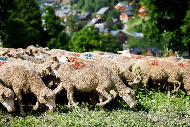 R13 - Entre villages et alpages_Méribel - Sylvain Aymoz - Méribel Tourisme