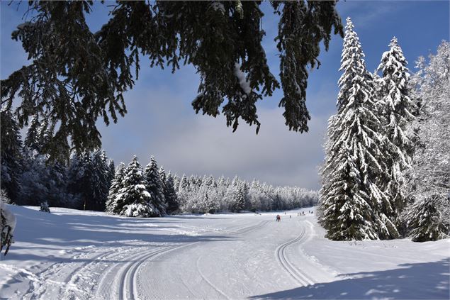 Les pistes de ski de fond du Plateau de Retord - Laurent Madelon CC Bugey Sud