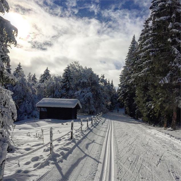 Pistes de ski de fond du Plateau de Retord - Laurent Madelon CC Bugey Sud