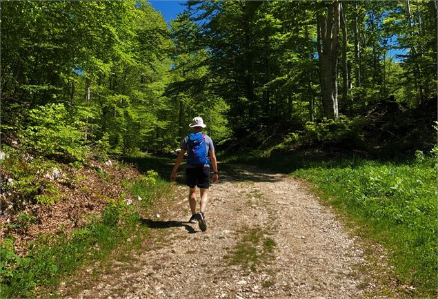 Chemins de randonnée sur le Plateau de Retord - Laurent Madelon CC Bugey Sud