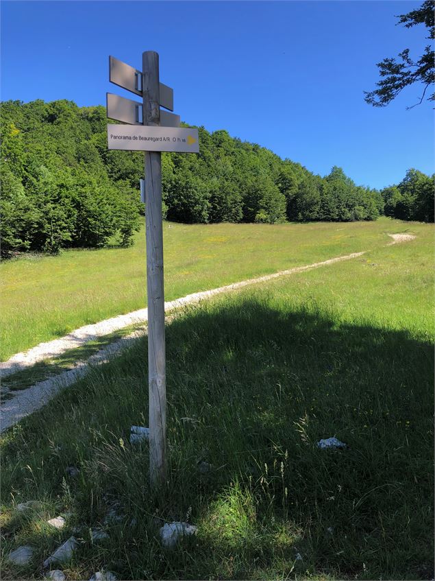 Panorama Mont Blanc depuis le Plateau de Retord - Laurent Madelon CC Bugey Sud