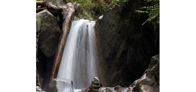 Cascade Belle aux Bois - David Machet