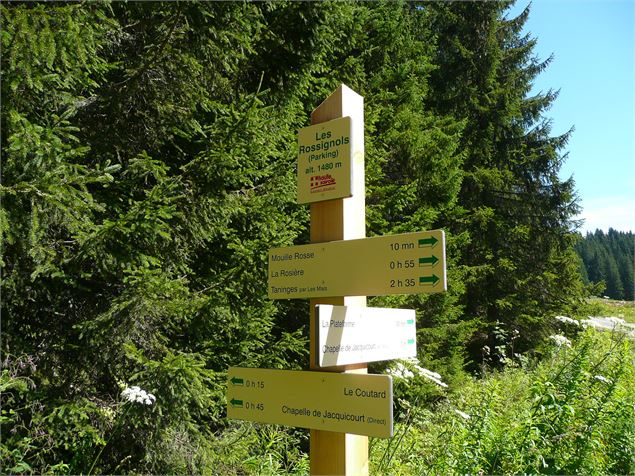 Itinéraire pédestre : Plateau de Loëx