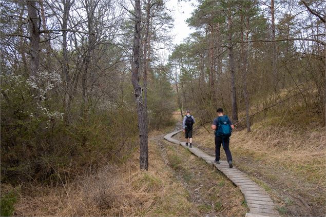 Teppes de la Repentance - Alexis Brochot