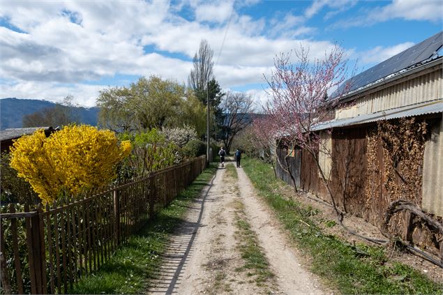 Chemin - Alexis Brochot