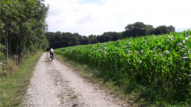 Boucle des étangs de Crosagny - ML Frescurat