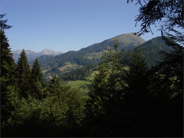 Panorama - Conseil départemental  74