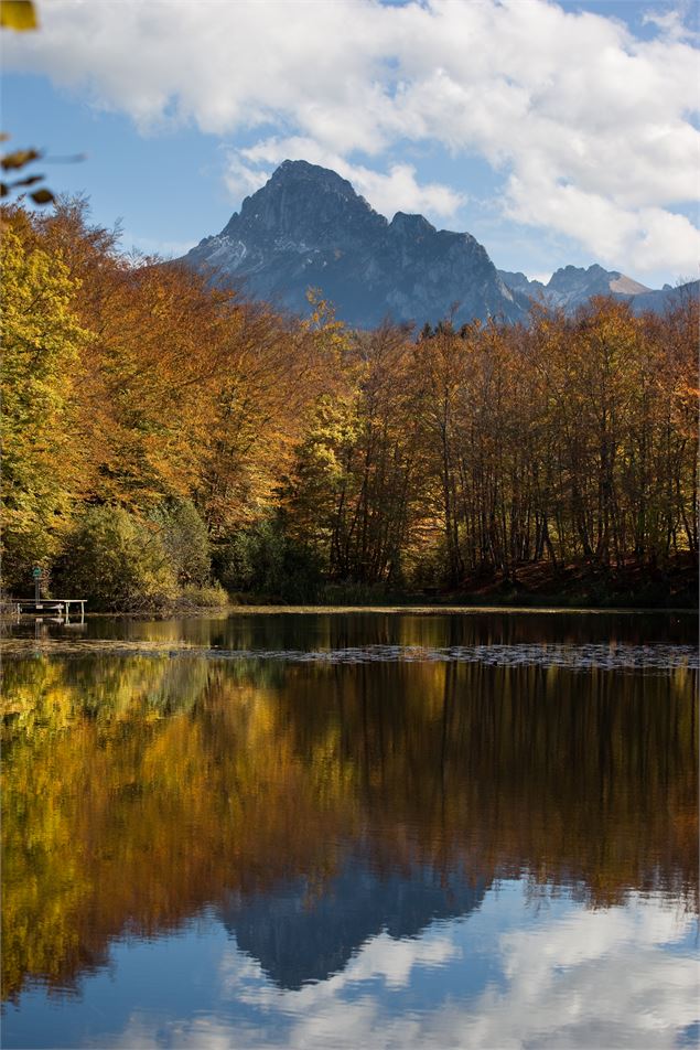 Vue sur la Dent d'Oche depuis le lac noir - Gilles Lansard